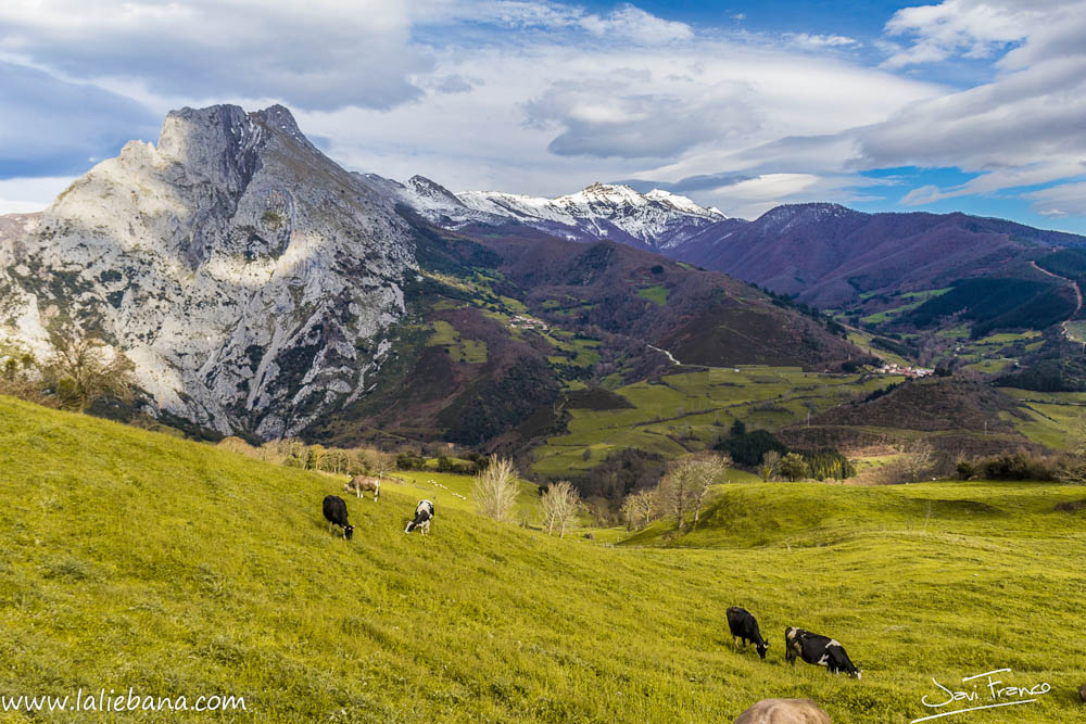 PEÑA VENTOSA EN CILLORIGO DE LIEBANA