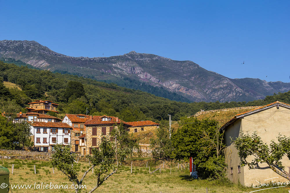 CAHECHO EN CABEZON DE LIEBANA