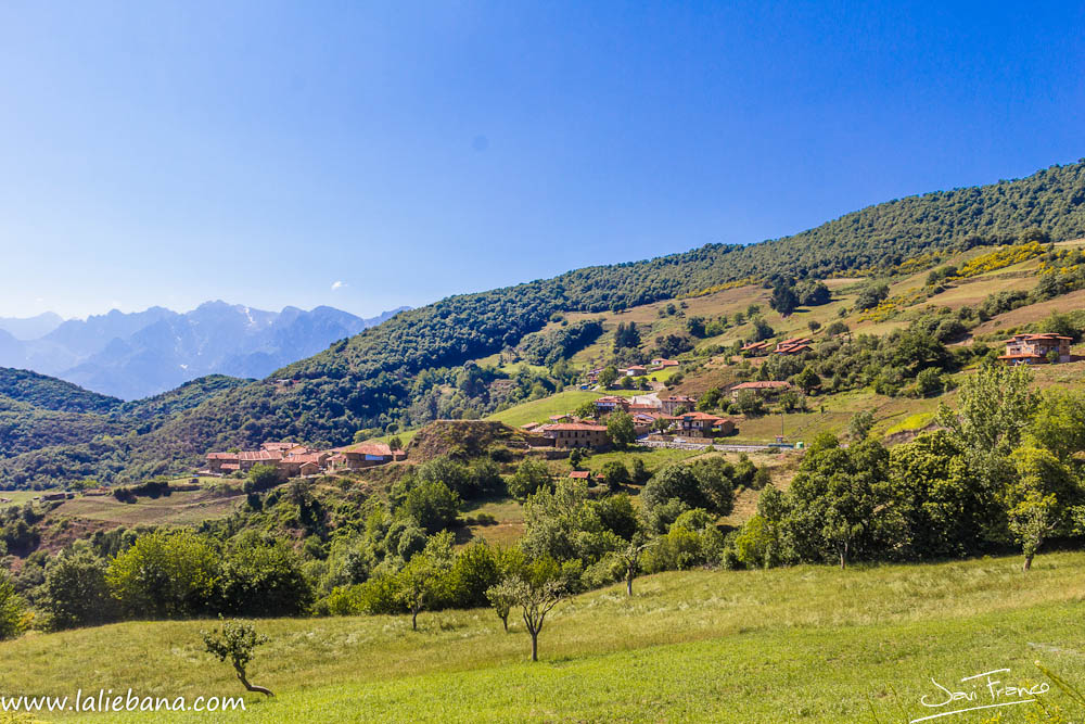 CAHECHO EN CABEZON DE LIEBANA