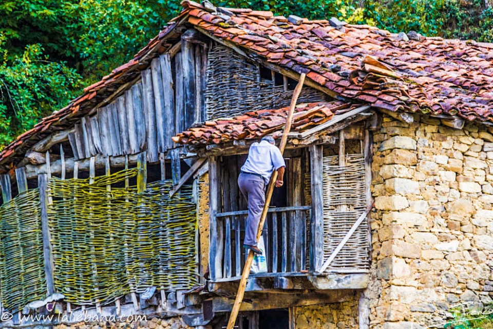 LIEBANA