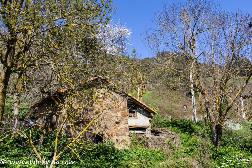 PIASCA EN CABEZON DE LIEBANA