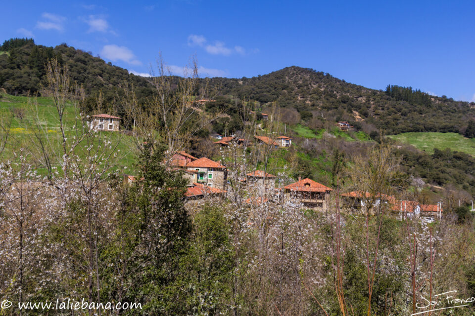 PIASCA EN CABEZON DE LIEBANA