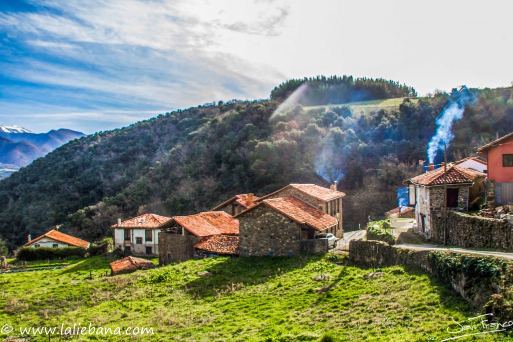 PIASCA EN CABEZON DE LIEBANA