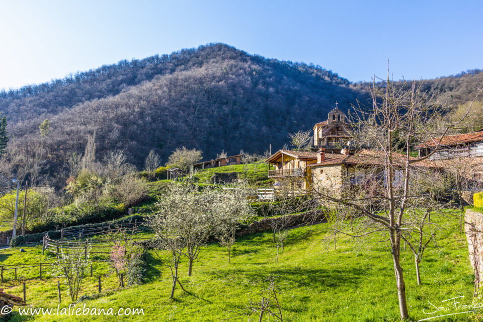 SOMANIEZO EN CABEZON DE LIEBANA