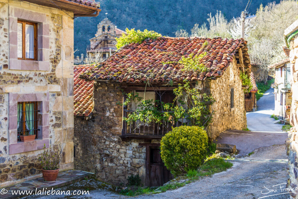 SOMANIEZO EN CABEZON DE LIEBANA